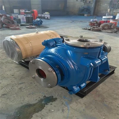 Parvus Sludge Pump